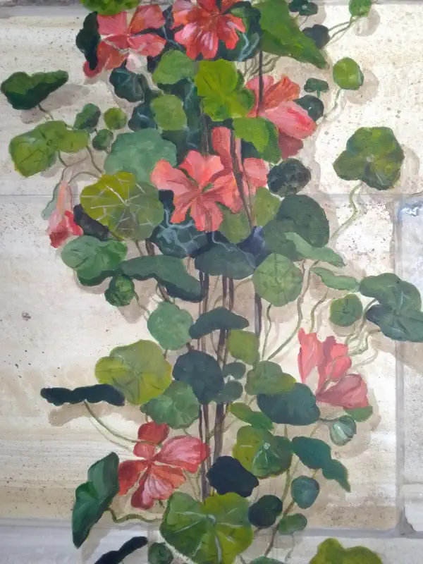 Toile Capucines Toile Capucines