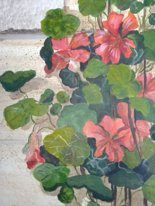 Toile Capucines Toile Capucines