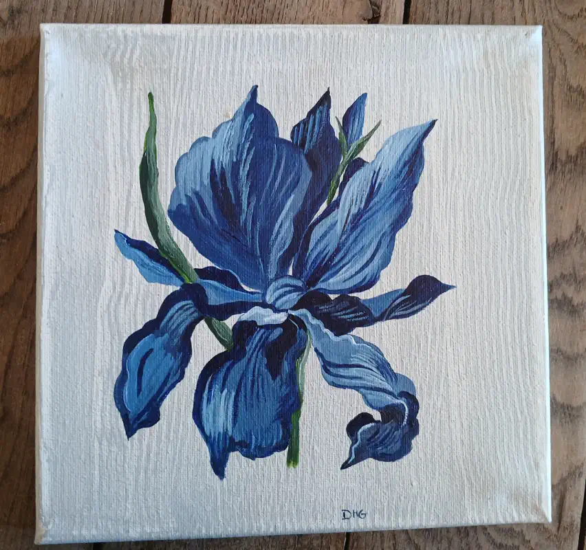 Ensemble de 20 toiles 20×20 Ensemble de 20 toiles 20x20